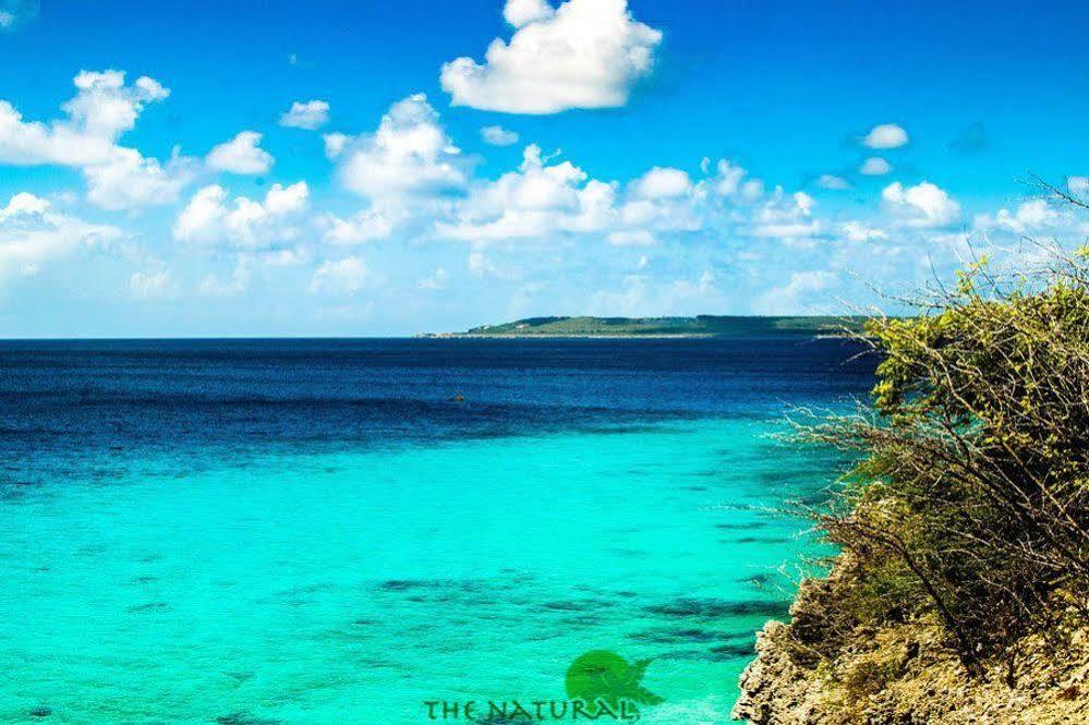 Bandabou Breeze Curacao Lejlighedshotel Willibrordus Eksteriør billede